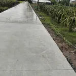 Bán đất nền 1000m2 Thuận Mỹ, Long An - Ảnh thu nhỏ 2