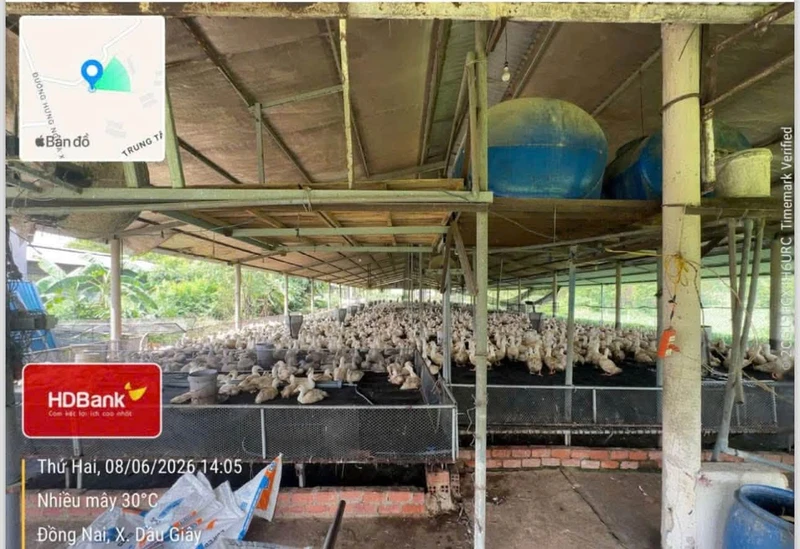 Bán đất chăn nuôi 10.000m2 Đồng Nai