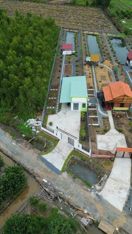 Bán nhà vườn 1000m² Thủ Thừa, Long An giá 1,199 tỷ
