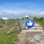 Bán đất vườn cao ráo ~1 sào Phan Thiết 479 triệu - Ảnh thu nhỏ 1