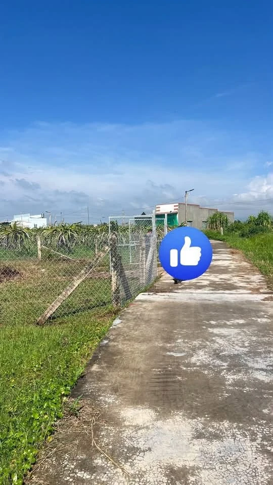 Bán đất vườn cao ráo ~1 sào Phan Thiết 479 triệu - Ảnh 1