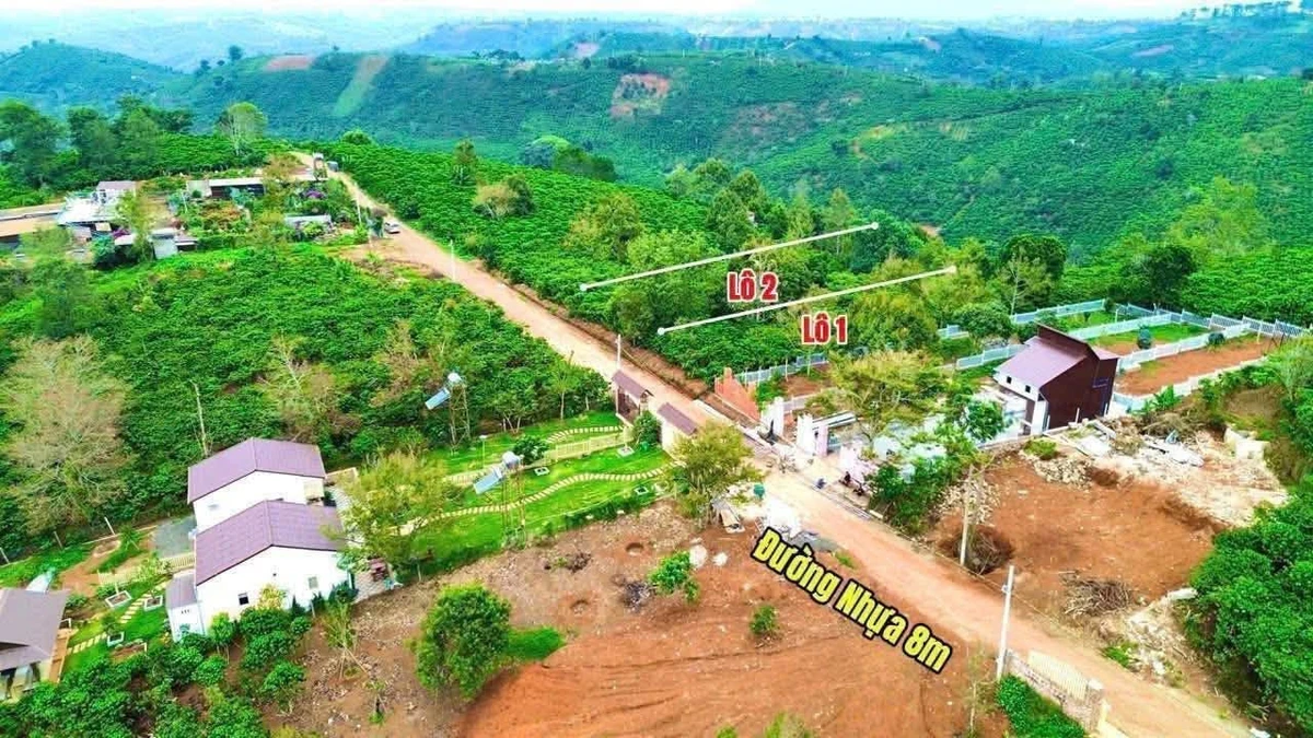 Bán đất Di Linh Lâm Đồng 408m2 giá 849 triệu - Ảnh thu nhỏ 2