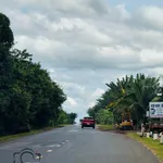 Bán đất 3,7 sào mặt tiền Tỉnh lộ 5, Bình Dương, 10 tỷ 550 triệu - Ảnh thu nhỏ 1