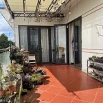 Bán nhà vườn 2PN, 100m², Hoàng Sa, Quận 7 - Ảnh thu nhỏ 4
