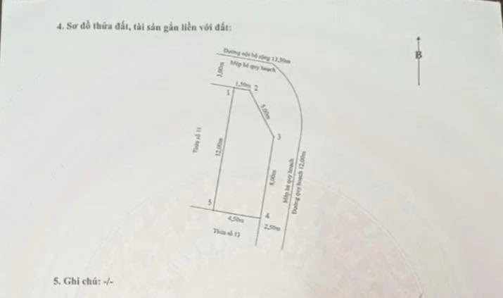 Bán lô góc tuyến 1 TĐC 226 Lê Lai 48m² Bình Chánh - Ảnh 1