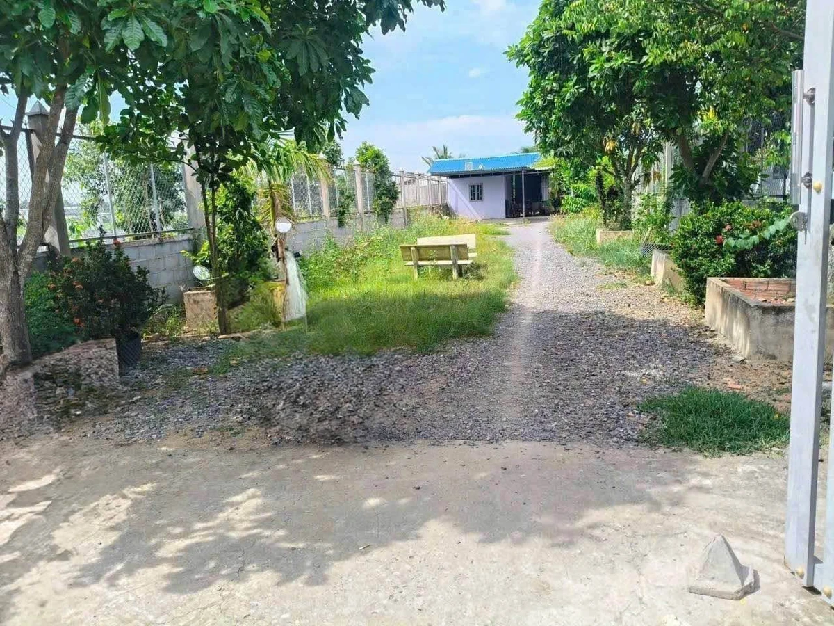 Bán đất vườn 800m² mặt tiền Bến Lức, Long An - Ảnh thu nhỏ 3