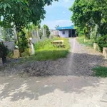 Bán đất vườn 800m² mặt tiền Bến Lức, Long An - Ảnh thu nhỏ 3