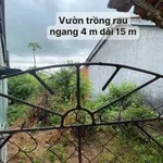 Bán nhà đất Hoà Quang Nam 128m² ở Phú Yên 490 triệu - Ảnh thu nhỏ 4
