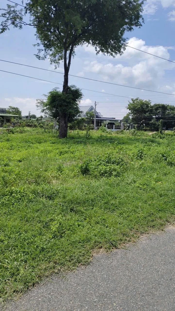 Bán đất mặt tiền 337m² sổ riêng Quốc Lộ 28 Di Linh - Ảnh 1