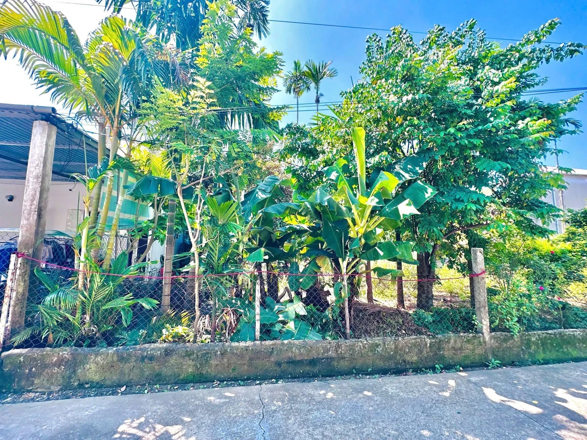 Bán đất kiệt oto Phường Vỹ Dạ 120m² Huế 2.5 tỷ - Ảnh thu nhỏ 4