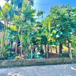 Bán đất kiệt oto Phường Vỹ Dạ 120m² Huế 2.5 tỷ - Ảnh thu nhỏ 4