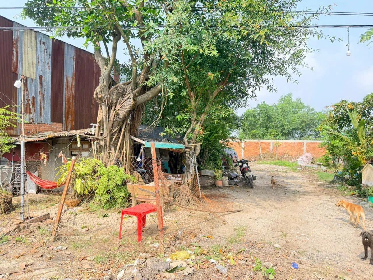 Bán đất mặt tiền QL 22B 235m² Tây Ninh 900 triệu - Ảnh thu nhỏ 3