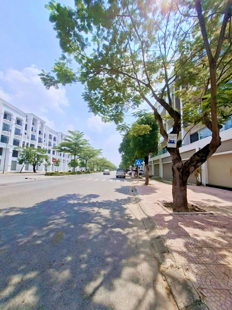 Bán shophouse 6 tầng mặt tiền 45m, 120m² ở Từ Sơn, 9 tỷ - Ảnh thu nhỏ 3