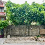 Bán đất 153m² kiệt ô tô đường Hai Bà Trưng, phường Thuận Hóa, TP Huế - Ảnh thu nhỏ 4