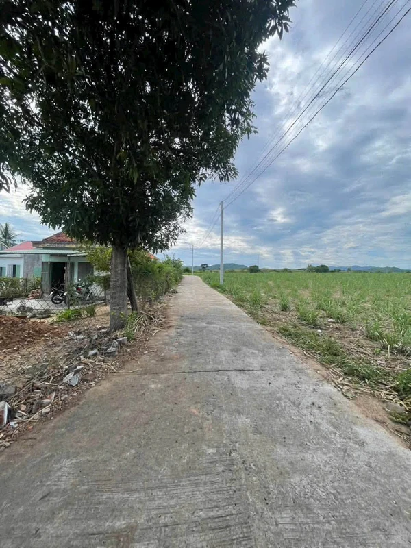 Bán đất Sơn Hòa Đắk Lắk 4000m² mặt tiền 60m