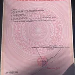 Bán đất có nhà MT Nguyễn Đình Chiểu, Nha Trang, vị trí vàng kinh doanh đa ngành nghề, mặt tiền 5m - Ảnh thu nhỏ 4