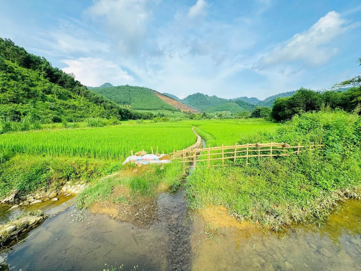 Bán đất 254m² view cánh đồng Kim Bôi, Hòa Bình - Ảnh thu nhỏ 4