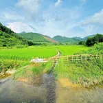 Bán đất 254m² view cánh đồng Kim Bôi, Hòa Bình - Ảnh thu nhỏ 4