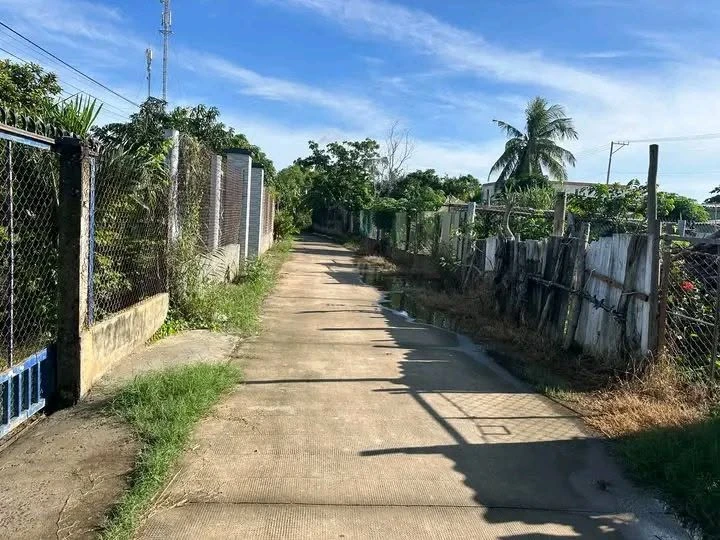 Bán đất chính chủ 150m2 thổ cư, đường đan 5m, giá 500 triệu tại Thạnh Phước, Bình Đại - Ảnh thu nhỏ 2