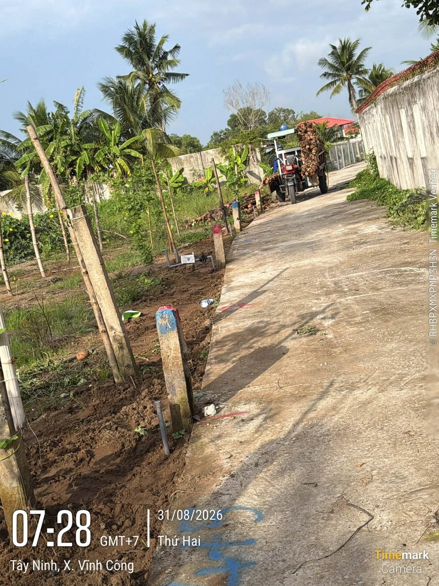 Bán 8 lô đất 5x27m tại Hòa Phú, Châu Thành, Long An - Ảnh 1