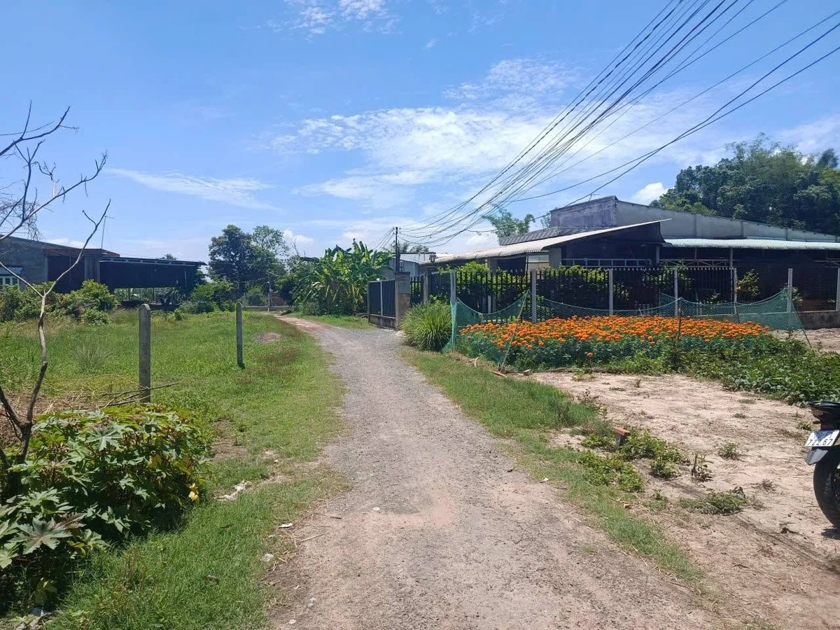 Bán đất 250m² Gò Dầu Tây Ninh gần bệnh viện - Ảnh thu nhỏ 4