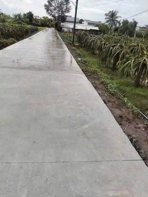 Bán đất nông nghiệp 1.000m2 Thuận Mỹ Long An - Ảnh thu nhỏ 2