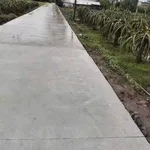 Bán đất nông nghiệp 1.000m2 Thuận Mỹ Long An - Ảnh thu nhỏ 2