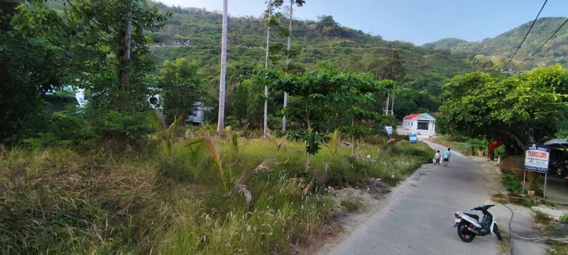 Bán lô đất 294m² Ấp Bãi Nhà, An Giang, mặt tiền 19.7m