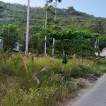 Bán lô đất 294m² Ấp Bãi Nhà, An Giang, mặt tiền 19.7m - Ảnh thu nhỏ 1