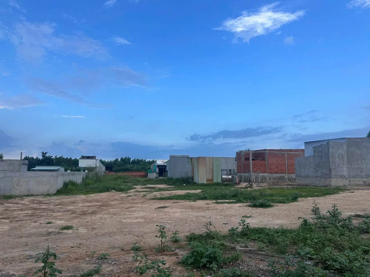 Bán đất nền Tam An, xã Long Điền 135m² giá 590 triệu - Ảnh thu nhỏ 4