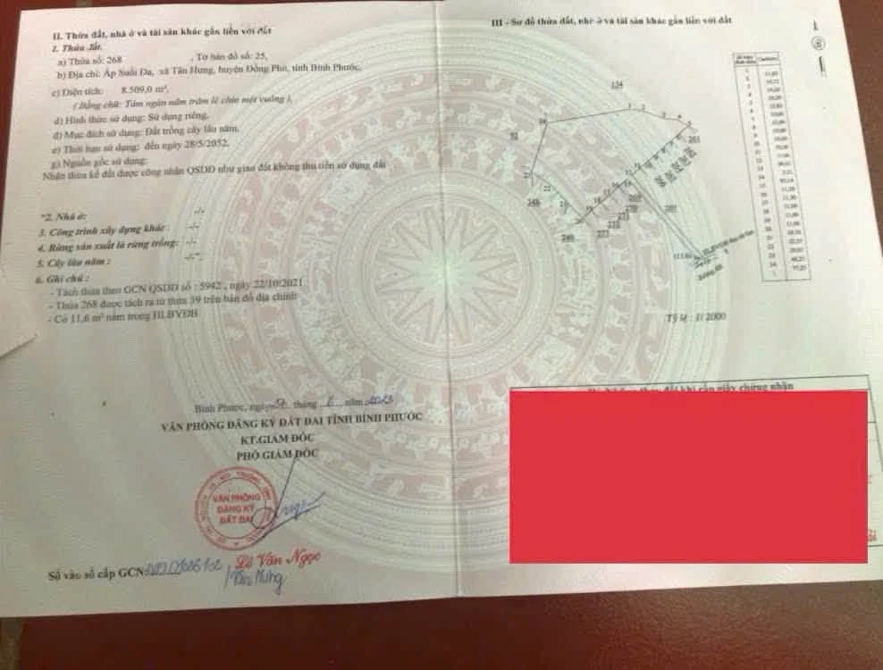 Bán đất sầu riêng Thái gần 1ha Đồng Phú Bình Phước - Ảnh thu nhỏ 5