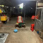 Bán nhà Cần Giờ 50m2 với 2 phòng ngủ 550 triệu - Ảnh thu nhỏ 4