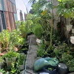Bán thổ cư nền 70m2 mặt tiền kênh chợ 520 triệu - Ảnh thu nhỏ 1