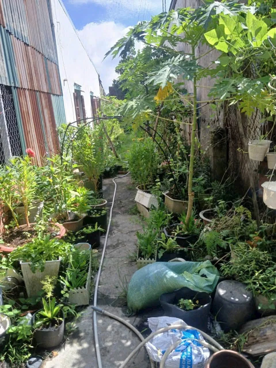 Bán thổ cư nền 70m2 mặt tiền kênh chợ 520 triệu - Ảnh 1