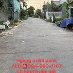 Bán nền đất 340m² khu phố Minh Lạc, Hồ Chí Minh - Ảnh thu nhỏ 1