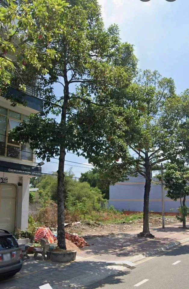 Bán đất mặt tiền kinh doanh 578m2 Lê Duẩn Phú Mỹ BRVT - Ảnh thu nhỏ 4