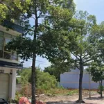 Bán đất mặt tiền kinh doanh 578m2 Lê Duẩn Phú Mỹ BRVT - Ảnh thu nhỏ 4