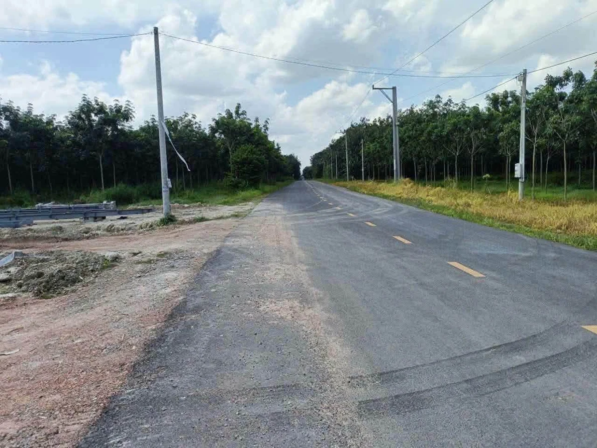 Bán đất Long Nguyên 7.800m2 thổ cư 200m2 - 8 tỷ - Ảnh thu nhỏ 2