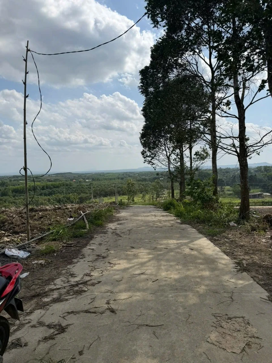 Bán 1000m² đất sào ở Định Quán, Đồng Nai, giá 700 triệu - Ảnh 1