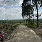 Bán 1000m² đất sào ở Định Quán, Đồng Nai, giá 700 triệu - Ảnh thu nhỏ 1