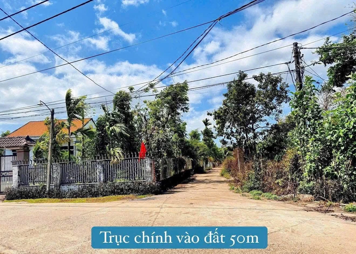 Bán đất 2 mặt tiền 120m² Eaning, Đắk Lắk 179 triệu - Ảnh thu nhỏ 2