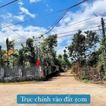 Bán đất 2 mặt tiền 120m² Eaning, Đắk Lắk 179 triệu - Ảnh thu nhỏ 2