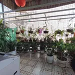 Bán nhà riêng 51m² 4 tầng Trần Nguyên Hãn hơn 4 tỷ - Ảnh thu nhỏ 4