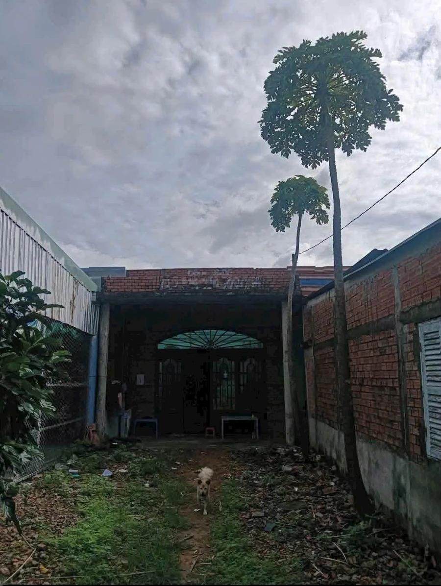 Bán nhà cấp 4 mặt tiền QL62, 200m² Tân Đông Thạnh - Ảnh thu nhỏ 2