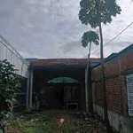 Bán nhà cấp 4 mặt tiền QL62, 200m² Tân Đông Thạnh - Ảnh thu nhỏ 2