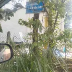 Bán lô đất vườn 4,2 tỷ tại An Điền, Phường Long Nguyên, Bình Dương cũ - Ảnh thu nhỏ 5