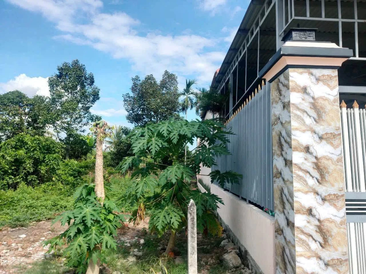 Bán lô đất 295m² ngang 12m Diên Hòa 1 tỷ 290 triệu - Ảnh thu nhỏ 2