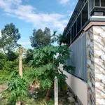 Bán lô đất 295m² ngang 12m Diên Hòa 1 tỷ 290 triệu - Ảnh thu nhỏ 2