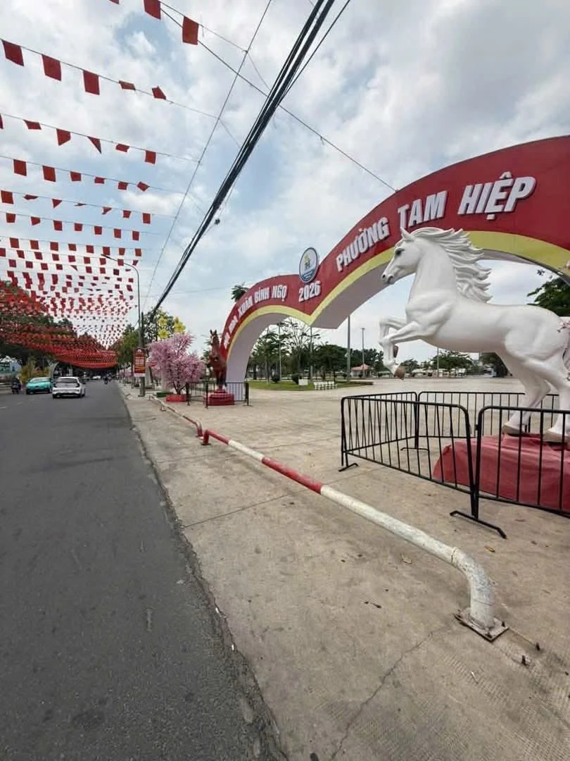 Bán đất Tân Phong Biên Hòa 69,5m² 2 tỷ 700 triệu - Ảnh 1
