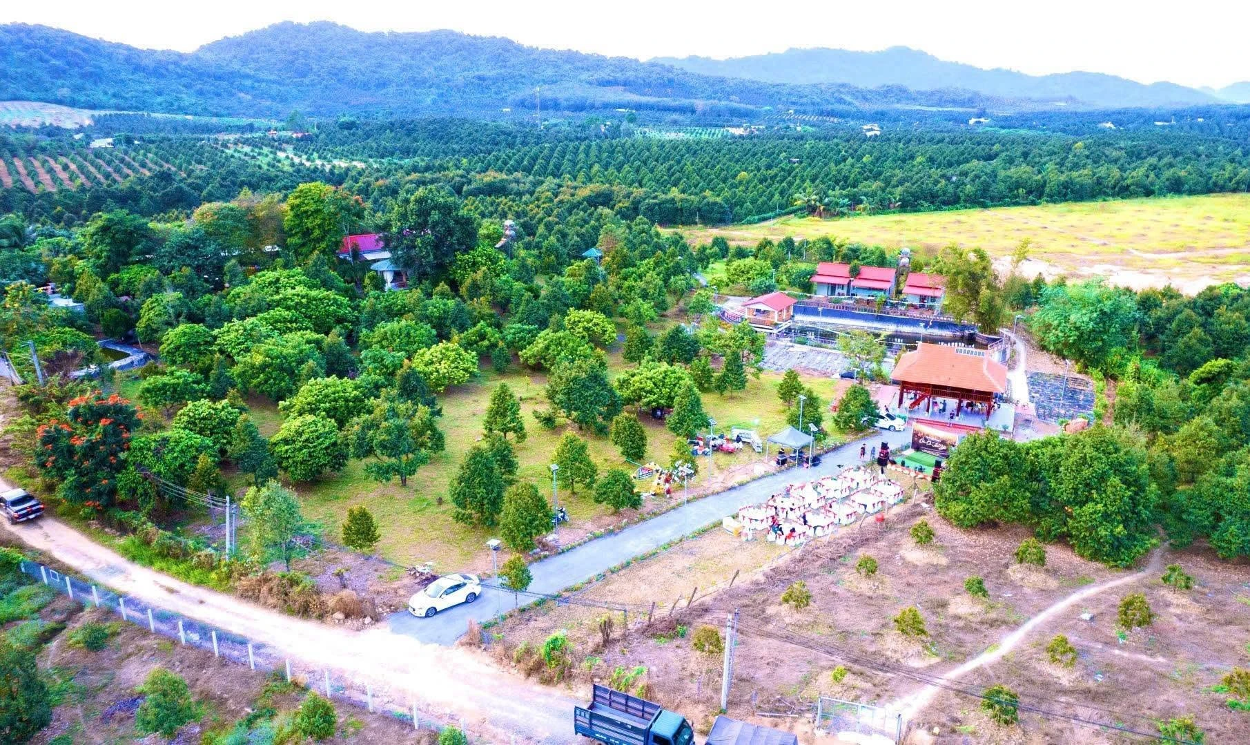 Bán đất nông nghiệp 25.000m2 Nam Cát Tiên, Đồng Nai - Ảnh 1